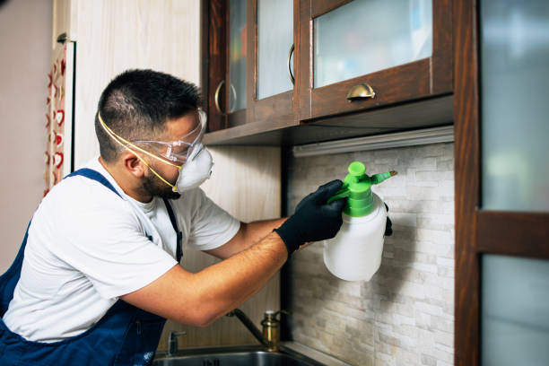 Trusted Loretto, PA Pest Control Experts