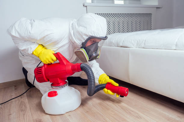 Best Local Pest Control Services  in Loretto, PA