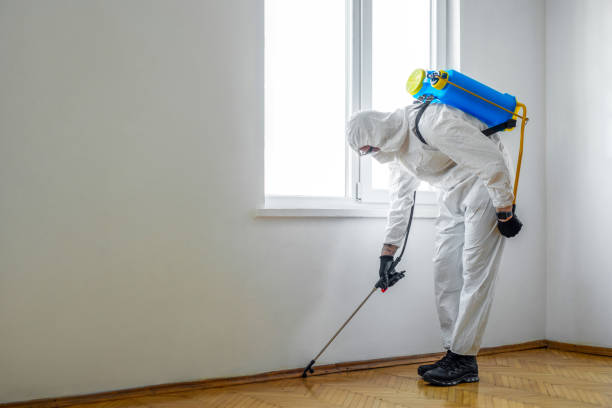 Best Affordable Pest Control Services  in Loretto, PA
