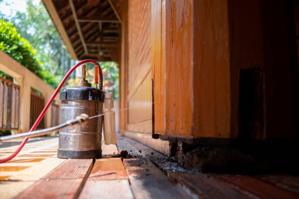 Best Pest Prevention Services  in Loretto, PA